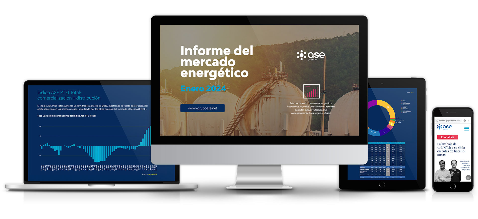 informe mercado energético enero 2024