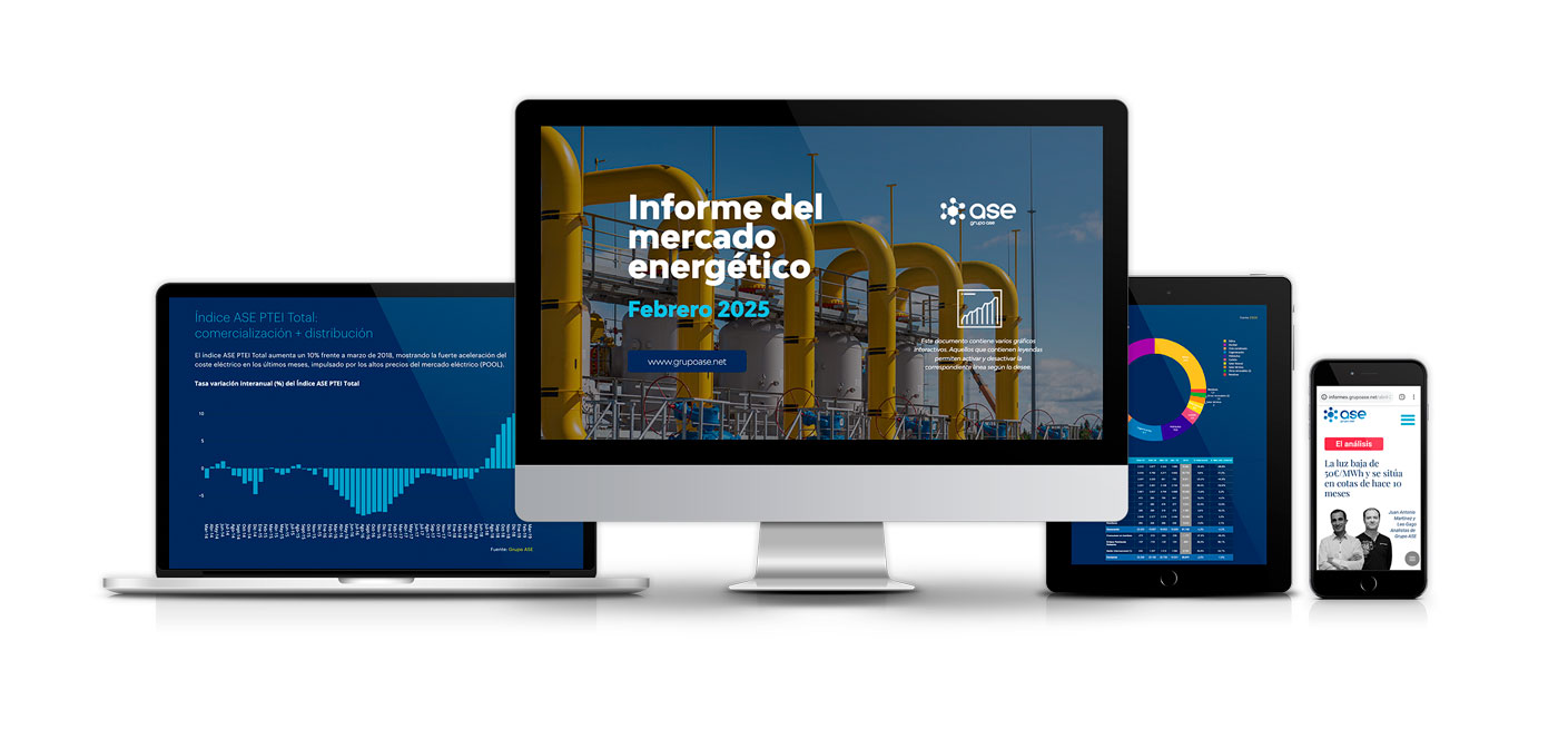 informe mercado energético febrero 2025