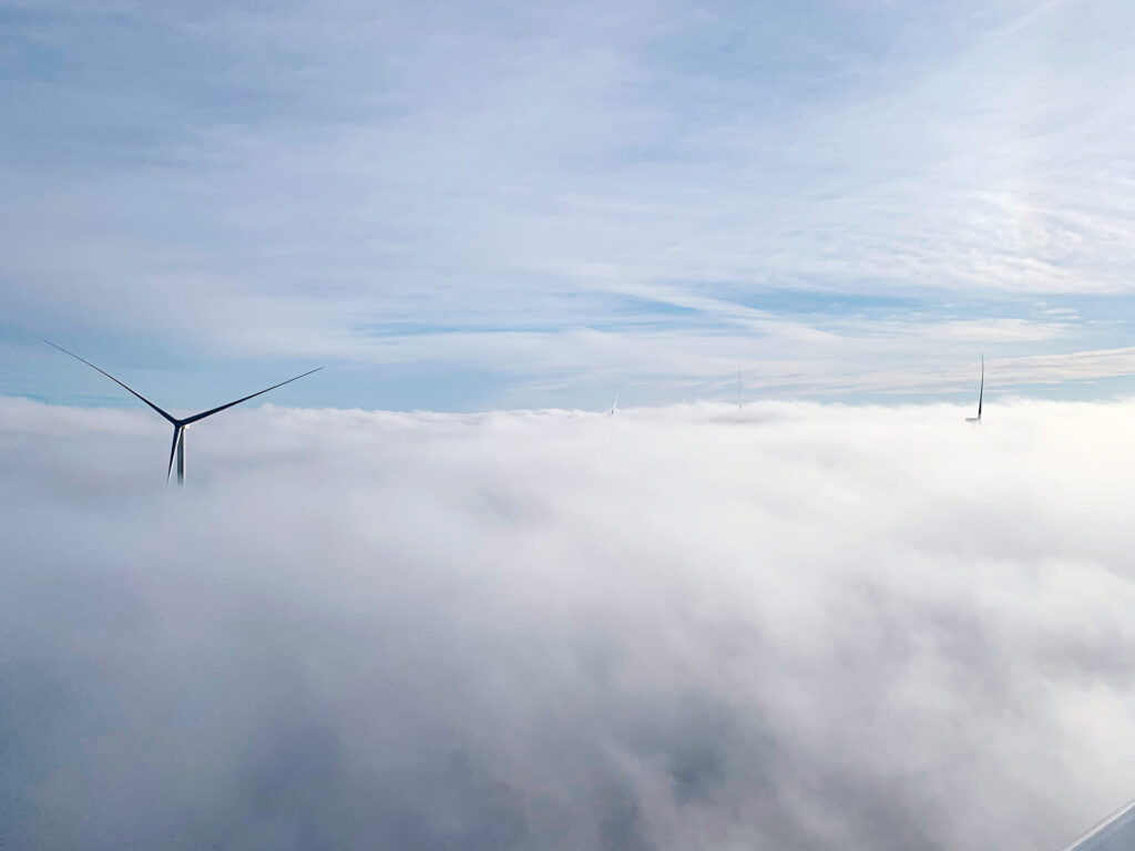 Precio luz julio 2025