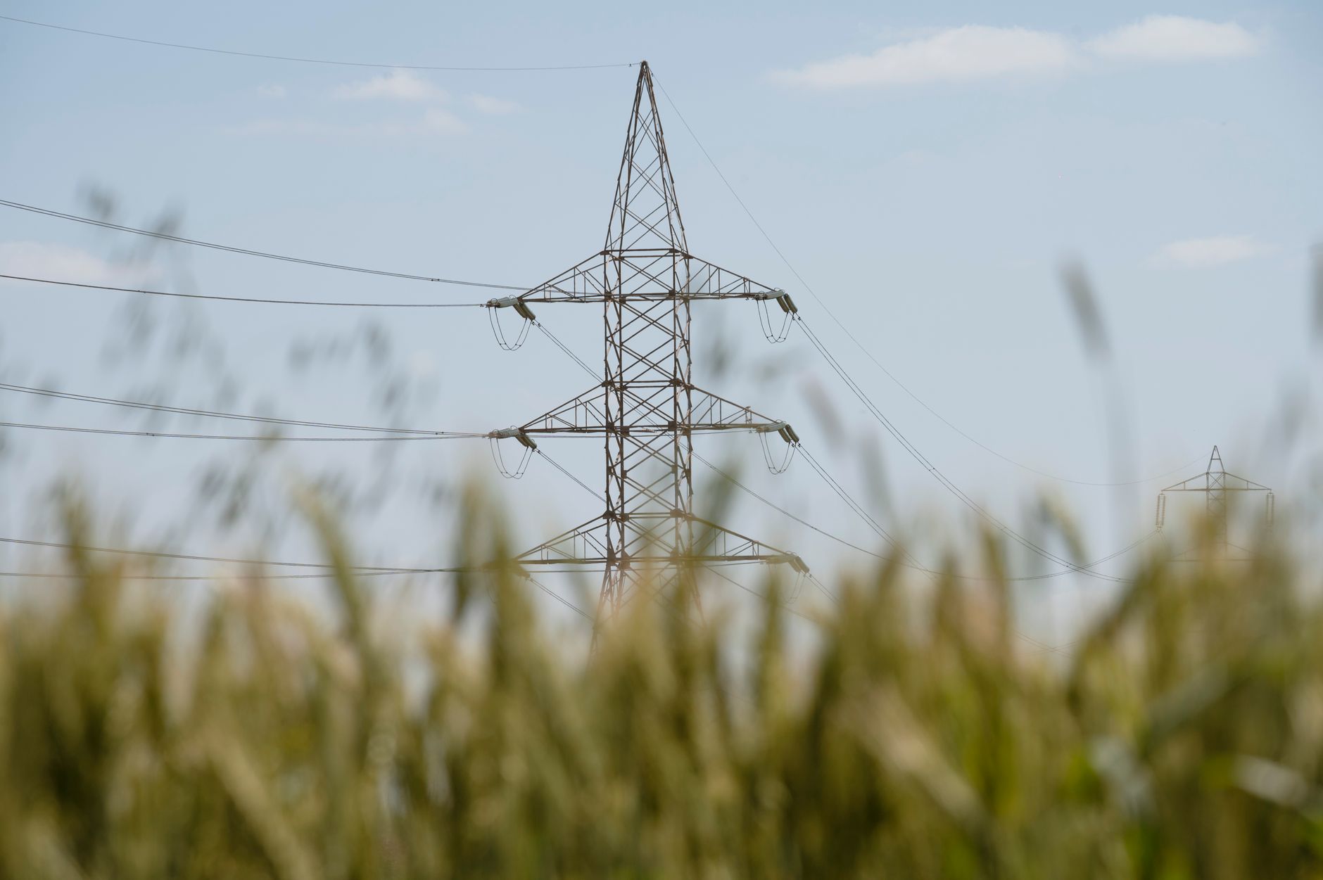 Mercado eléctrico y red de energía